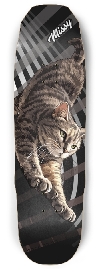 missy_cat