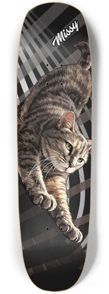 missy_cat