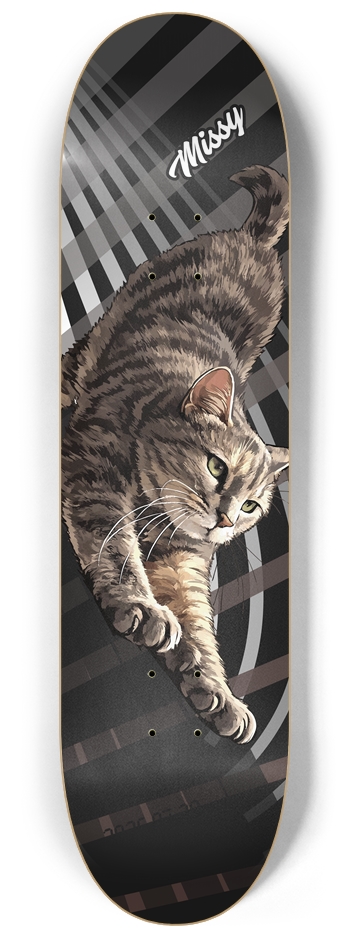 missy_cat